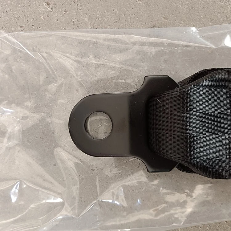 seat belt buckle
