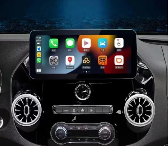 Auto-TV-Monitor