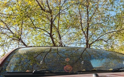 Warum ist die Windschutzscheibe eines Autos geneigt?