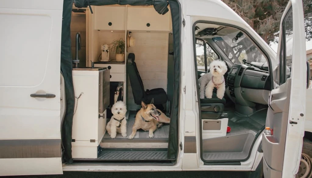 Sprinter van life Sprinter van life